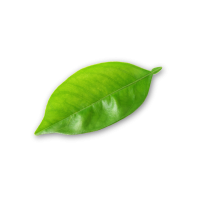 Diseño sin título (11)